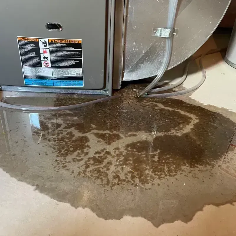 Appliance Leak Cleanup in Country Club Village, MO